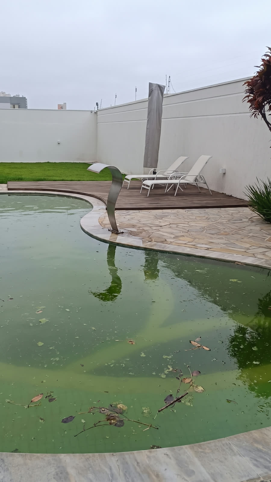Piscina com a água esverdeada e sem controle